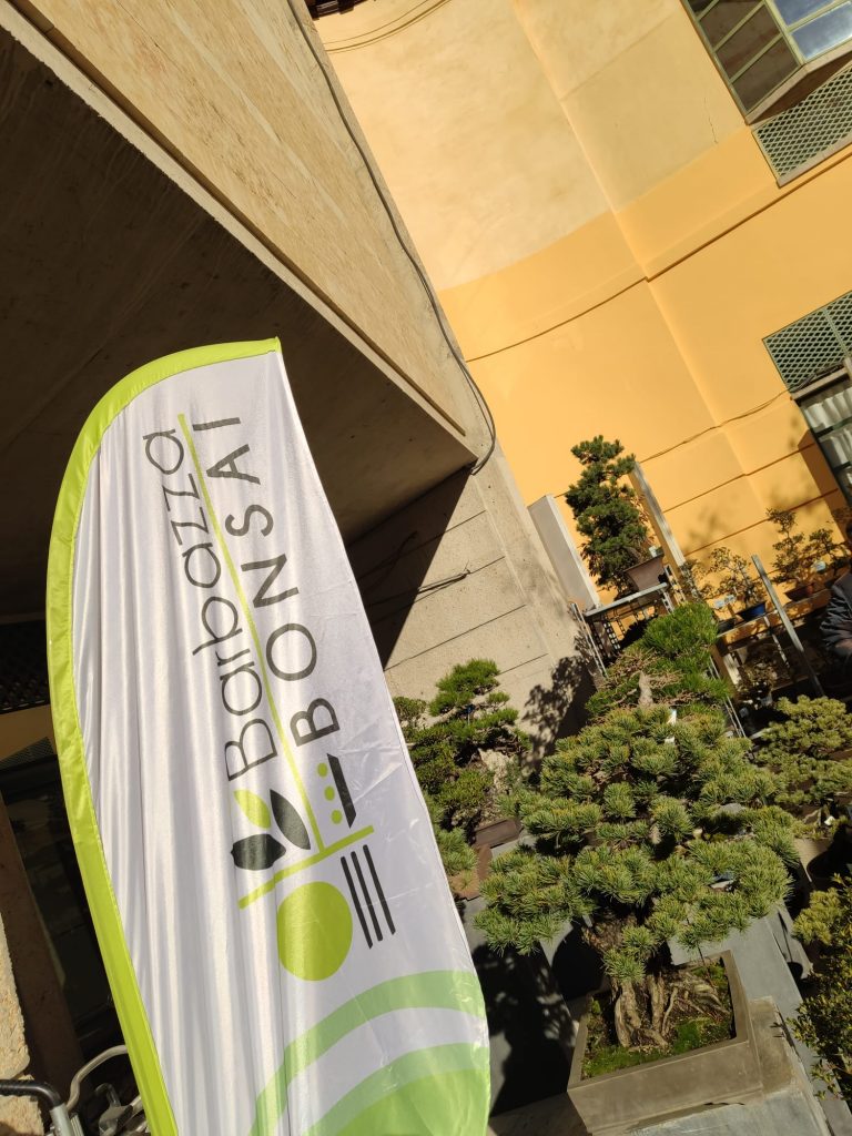 espositore barbazza bonsai alla fiera ubebonsai