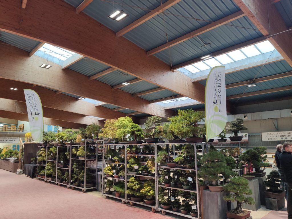 Dijon Bonsai Show