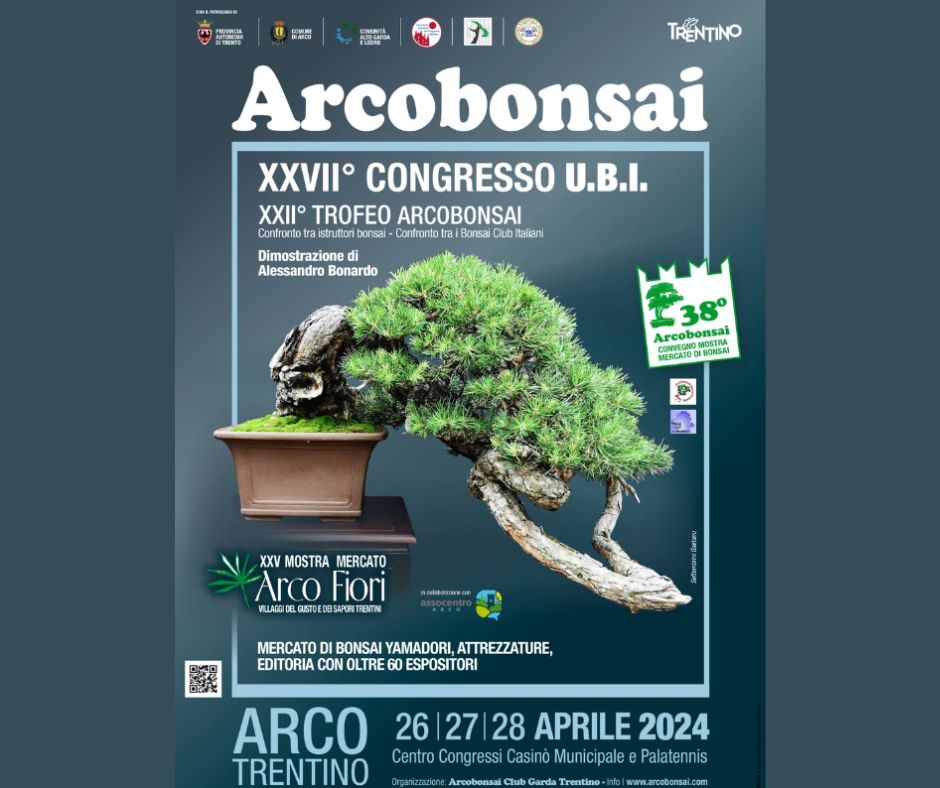 locandina arco bonsai 2024